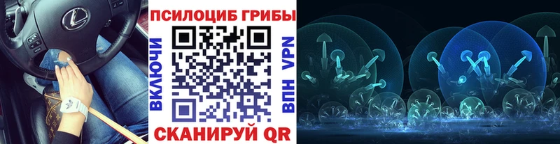 Псилоцибиновые грибы мухоморы  Сухой Лог 